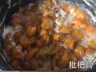 9、枇杷膏,如图付一张电压力锅版的