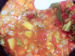 12、罗宋汤,炖煮10分钟后，土豆蔬菜都熟了，放入盐，烧开入味。