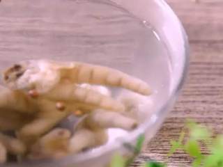 3、百吃不厌的泡椒凤爪！原来做法如此简单！,焯熟捞出过凉