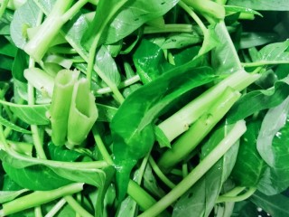 5、蒜蓉空心菜,沥干水分备用