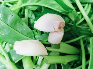 7、蒜蓉空心菜,处理好蒜蓉备用