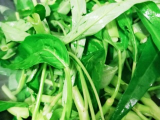 15、蒜蓉空心菜,放入空心菜