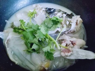 15、#一碗汤##秋季补钙佳品#鱼头粉皮汤,关火加入切好的香菜。
