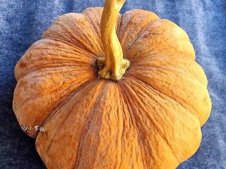 1、夹心南瓜饼,大南瓜亮相,话说这种南瓜好甜。