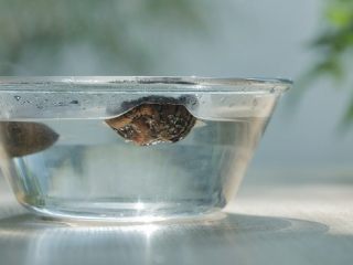 1、宝宝版牛肉肠粉,干香菇温水泡发。