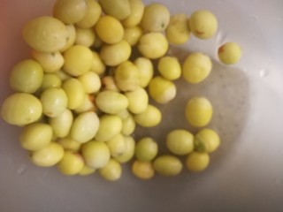 13、秋冬滋补篇:老母鸡白果海参汤,白果因为提前去了去衣已经煮熟冷冻过都是熟的。在鸡汤出锅前半小时放入即可。电炖锅不建议使用2.5升以上的味道会有差别。