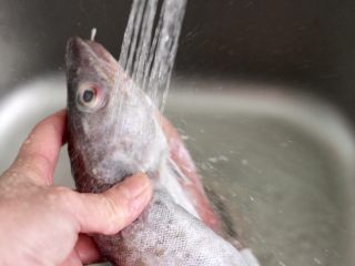 3、啤酒焖鳕鱼,鳕鱼去除内脏杂质后，用清水反复冲洗干净。