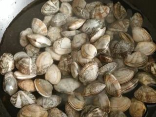 2、辣炒花蛤：让舌头欲罢不能的美味儿,加盐加水吐净泥沙（如果在海鲜摊买到已经吐干净泥沙的，这一步可以省略）