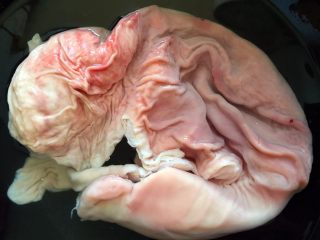 2、红油肚丝,凉水下锅，用水焯一下