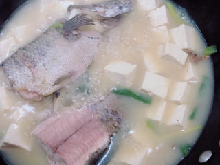 17、黑鱼豆腐汤,鱼汤基本炖好了，奶白色的汤很诱人。