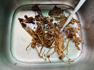 3、茶树菇排骨汤,茶树菇清洗干净