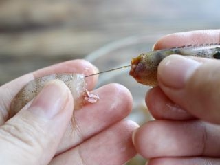 2、虾肉香菇盏,去虾头，并拉出虾线