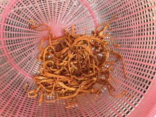 7、响螺虫草花老鸽汤,泡好的虫草花捞起备用