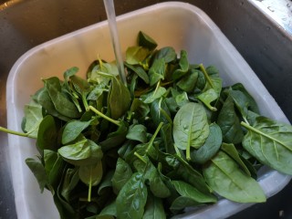 1、虾丸菠菜汤,准备菠菜洗干净。
