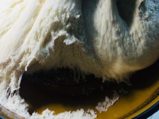 5、#最爱包子#超大粉丝榨菜肉包子,发好的面团，里面有非常丰富多彩蜂窝状！这样代表发好了！