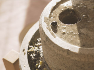 1、乌圣糕,黑豆