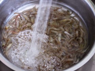 2、桃花虾爆韭菜,把活的桃花虾用自来水反复冲洗干净。