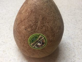 1、印度椰子鸡汤,今天要用的是这种印度椰子,买的时候已经去壳了。