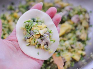 15、海蛎子西葫芦饺子,取一张饺子皮，放入适量的馅料。