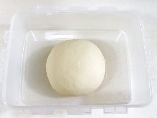 4、贝果汉堡包,把揉好的面团取出滚圆，在28度左右的环境中进行基础发酵。