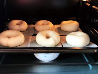 11、贝果汉堡包,将面团放在烤盘纸上进行二次发酵，35度30分钟左右。