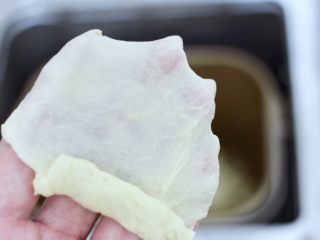 4、牛奶杏仁小餐包,揉好的面团可以拉成大片的薄膜就可以了。