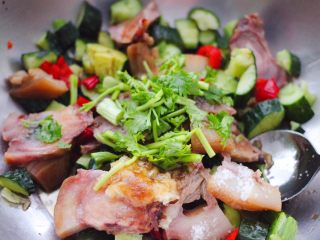 14、猪头肉拌黄瓜,再放入切段的香菜。