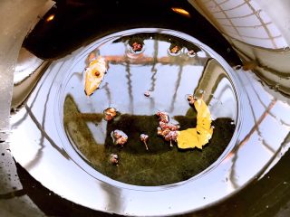 7、麻辣鸡丝,油锅五成热放入花椒,大料,香叶炸两分钟