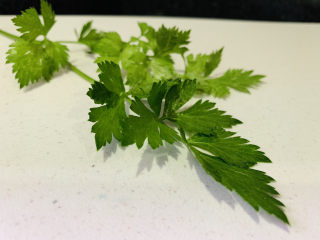 6、手撕鸡胸肉,芹菜，待用；