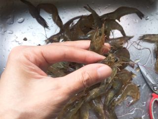 1、椒盐基围虾,基围虾头上的尖刺剪掉,不剪容易扎伤。