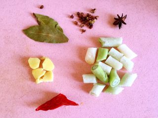 5、西红柿牛腩汤,准备配料。