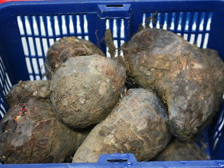 1、香辣芋头干锅,戴上防水手套，将芋头去皮洗净，芋头中有一种粘液，会使皮肤瘙痒红肿。当双手因刮芋头皮而发痒时，若将双手放在炉火上方略烤一下，即可止痒。但使用此法时，须注意别灼伤手皮。也可先用清水冲洗，然后抹干水渍，搽上一点风油精并加以轻轻擦拭，痒感即除。