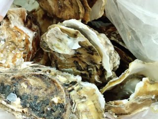 1、蒜蓉剁椒蒸生蚝,准备好生蚝