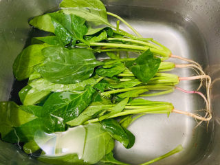 2、鸡蛋炒菠菜,菠菜清洗干净