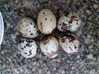 2、香菇烤太阳,准备好六颗鹌鹑蛋