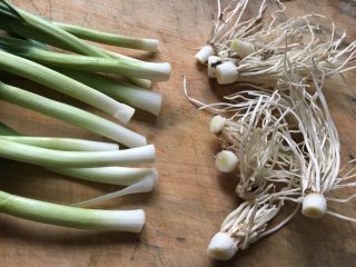 4、大蒜牛肉片,大蒜去除根部并清洗干净。