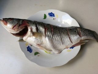 7、清蒸海鲈鱼,放入海鲈鱼