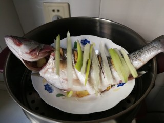 12、清蒸海鲈鱼,蒸锅水开放入海鲈鱼蒸八分钟，焖三分钟