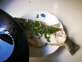 13、清蒸海鲈鱼,取出海鲈鱼去掉大葱，姜片，放上葱花，锅中烧热适量大豆油淋在葱花上