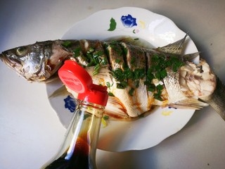 14、清蒸海鲈鱼,淋入两勺生抽