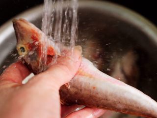 2、啤酒焖红蟹鱼,红蟹鱼清除内脏后，用自来水反复冲洗干净。