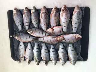 12、香煎鲫鱼,把所有的小鲫鱼都用厨房用纸吸干水份