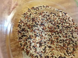 10、冬季滋补好时机,烤羊蝎子藜麦饭,加橄榄油提前泡两个小时,煮出来口感很有弹性的,口感不要太好了