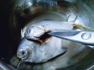 3、#感恩节食谱#清蒸鲳鱼,再将内脏清理干净。