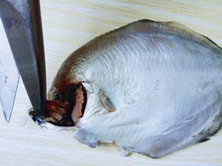 4、#感恩节食谱#清蒸鲳鱼,把鱼腮挖干净(一定要按挖干净。)