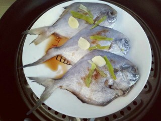 9、#感恩节食谱#清蒸鲳鱼,冷水上锅，隔水蒸，大火烧开5分钟后转中火5分钟，关火闷2分钟。(蒸鱼的时间要根据鱼的大小来增减)
