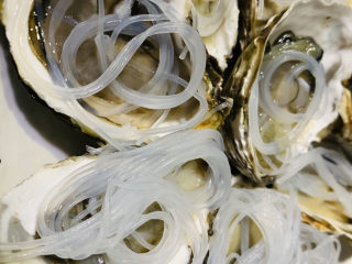 11、蒜蓉粉丝蒸生蚝,把粉丝放到去壳的生蚝上；