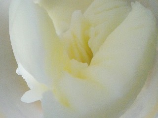 5、苦瓜发面饼,猪油