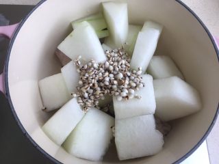 10、冬瓜薏米排骨汤,薏米