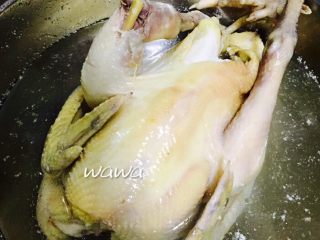 6、汤食美味—参鸡汤,迅速过冷水清洗